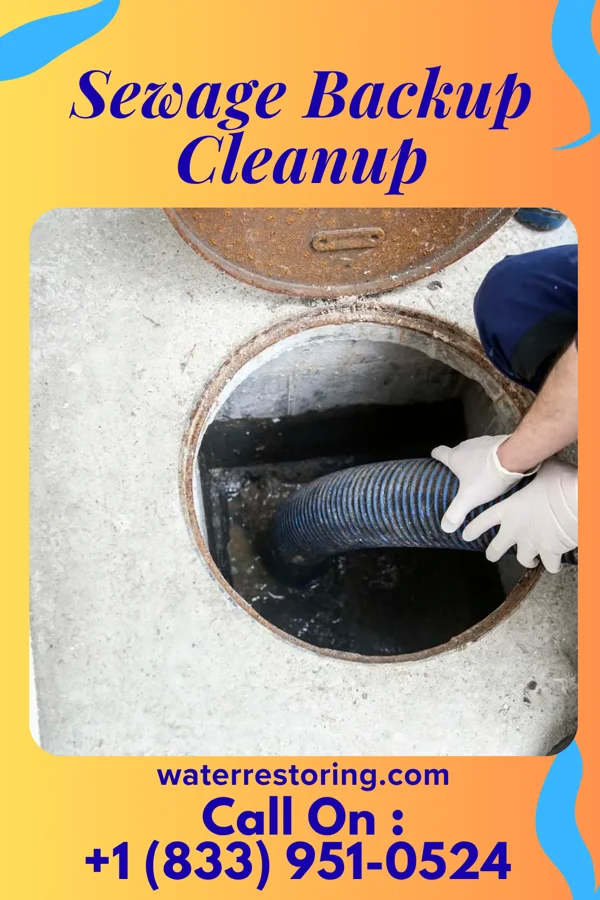 Sewage Backup Cleanup in Fairwood, MD